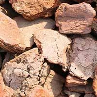 Maritime Pine Bark Extract